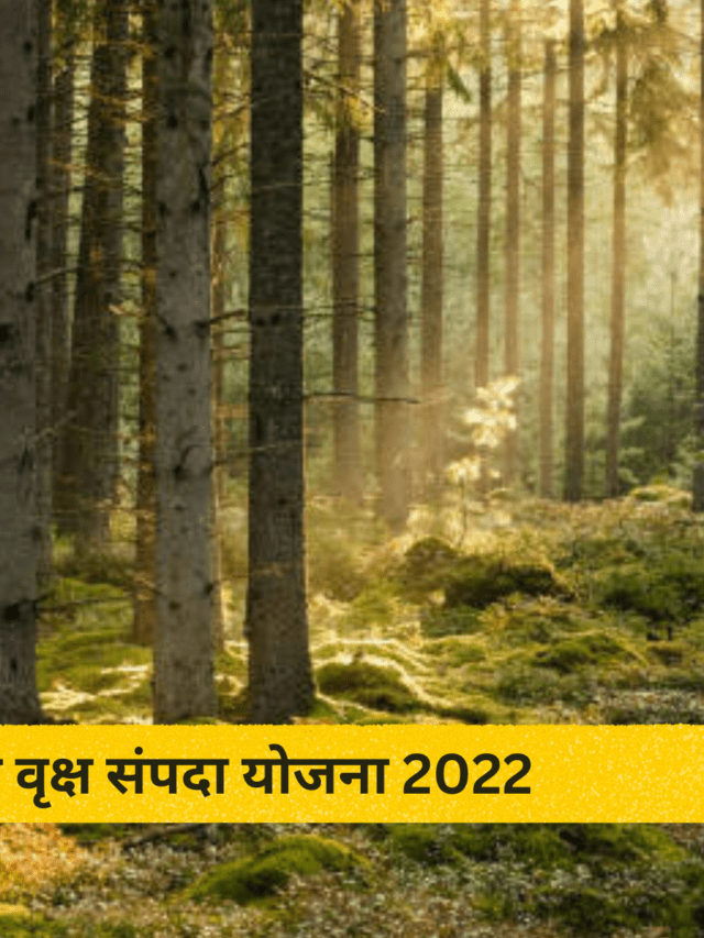मुख्यमंत्री वृक्ष संपदा योजना 2022 छत्तीसगढ़